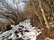 16 Salendo la mulattiera nel bosco